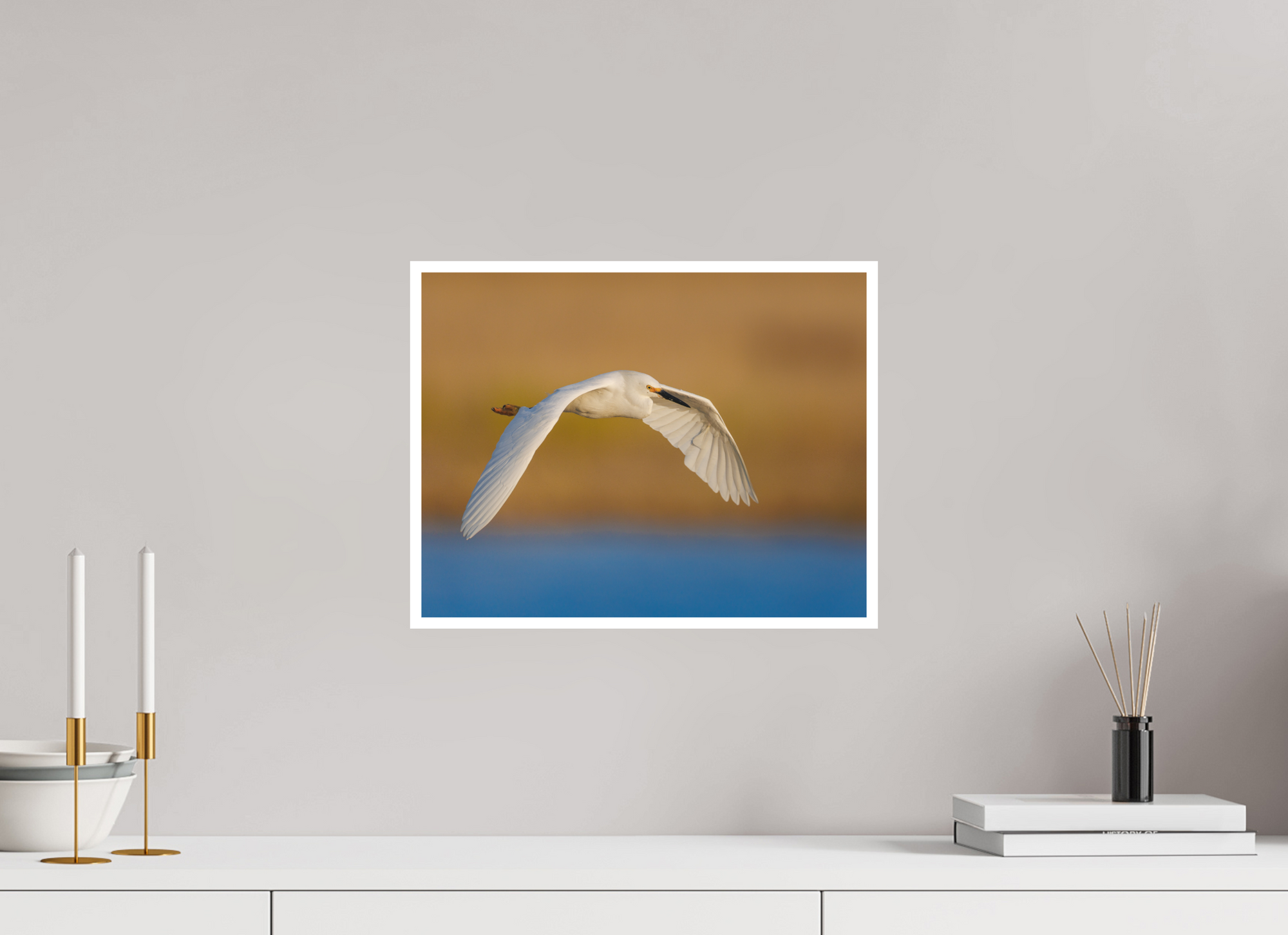 15.5 x 12″, Unframed Photograph - Hahnemühle Photo Rag Art Paper Egret into Sunset