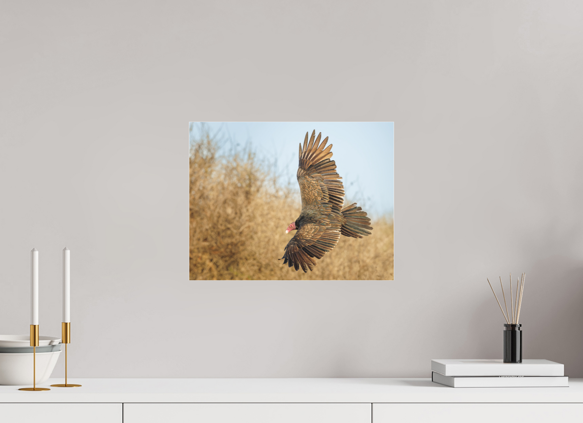 15.5 x 12″, Borderless Modern Frame - Fuji Crystal Paper under Matte Acrylic Glass Cleanup Crew