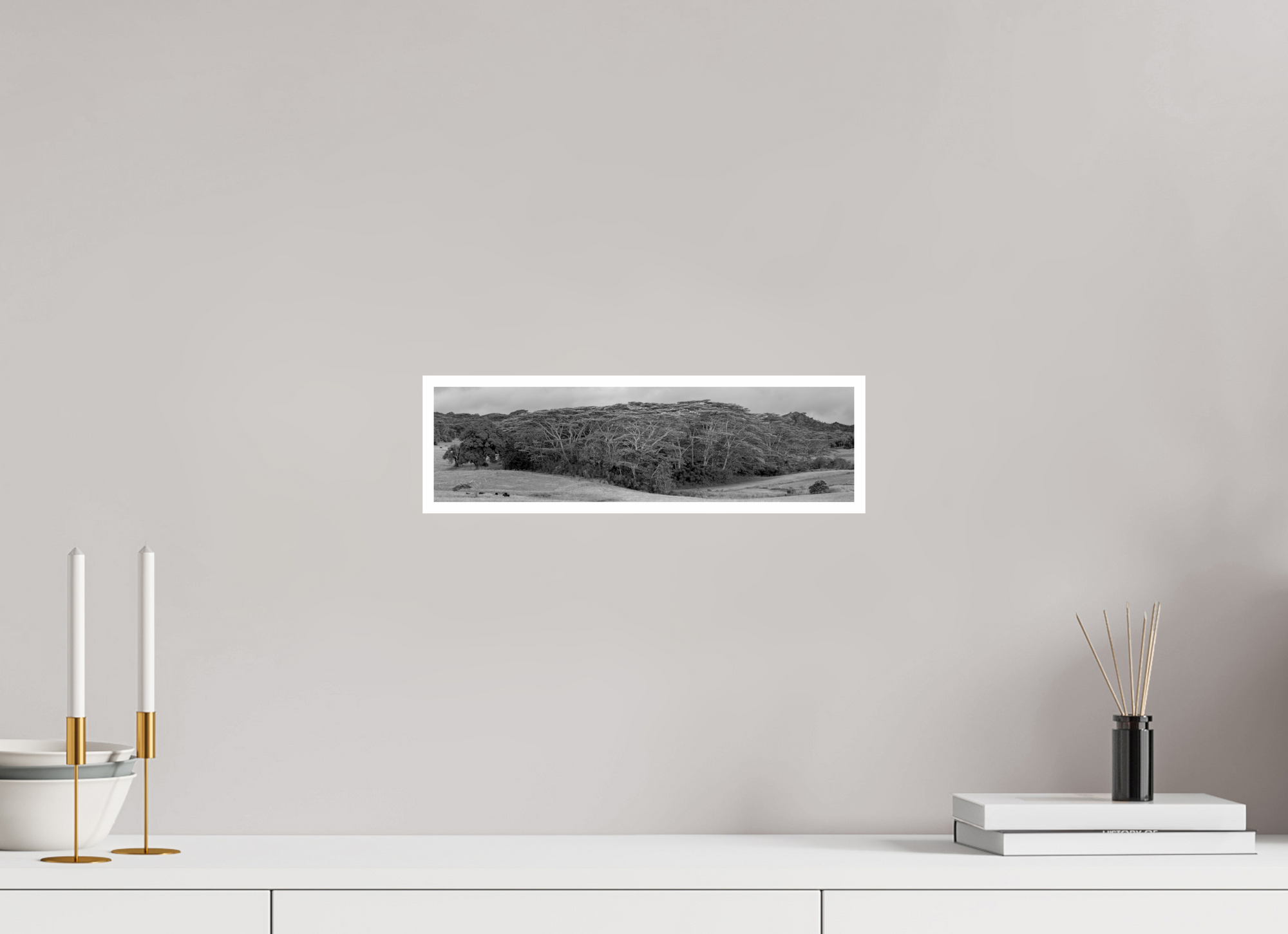 14.6 x 4″, Unframed Photograph - Canson Baryta Prestige Black & White Kauaʻian Copse of Trees