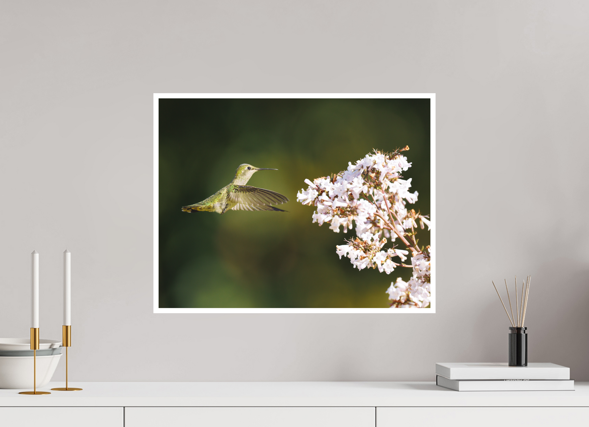 20.7 x 16″, Unframed Photograph - Hahnemühle Photo Rag Art Paper Morning Nectar
