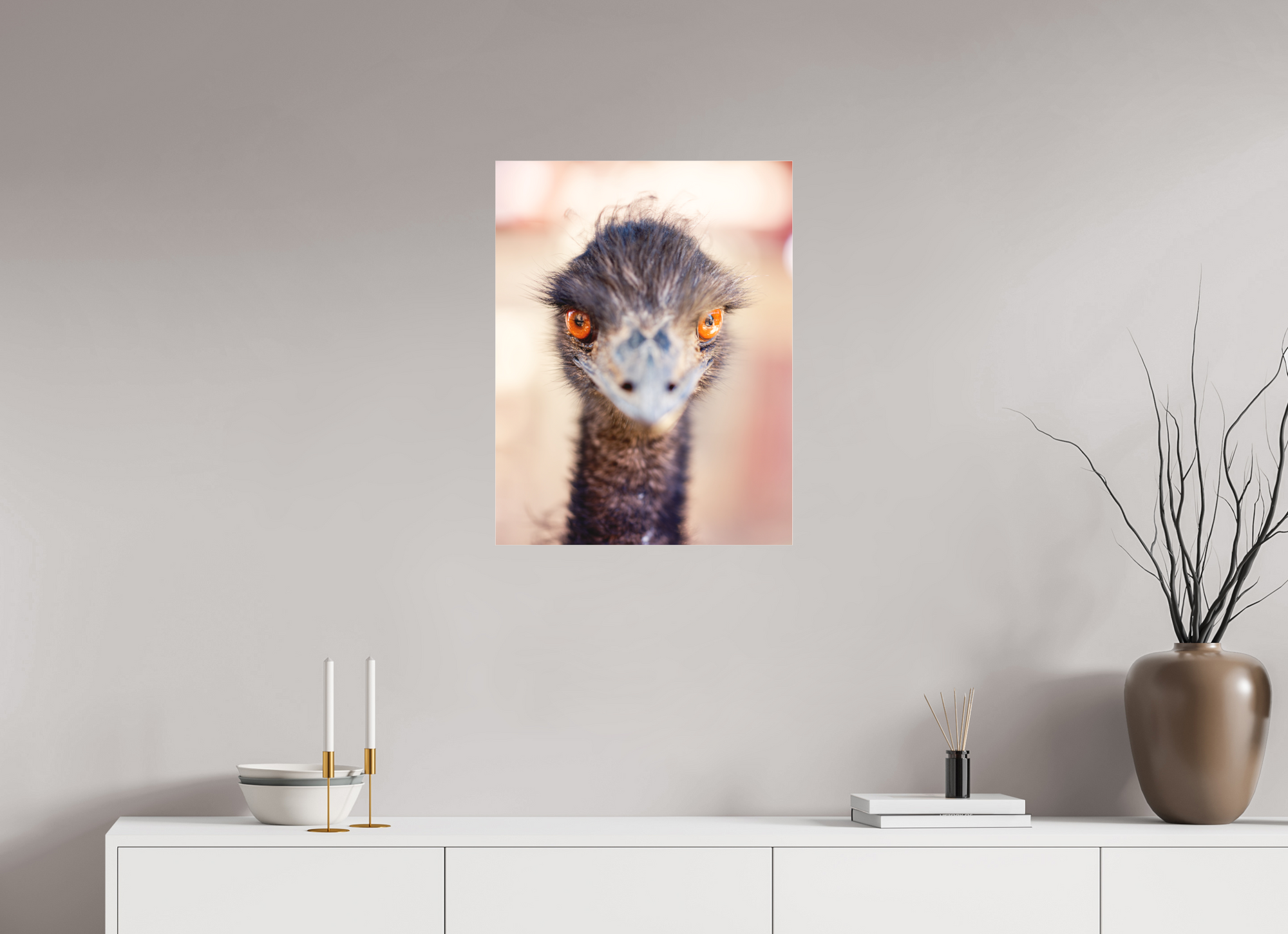 20 x 25.9″, Borderless Modern Frame - Fuji Crystal Paper under Matte Acrylic Glass Emu See You