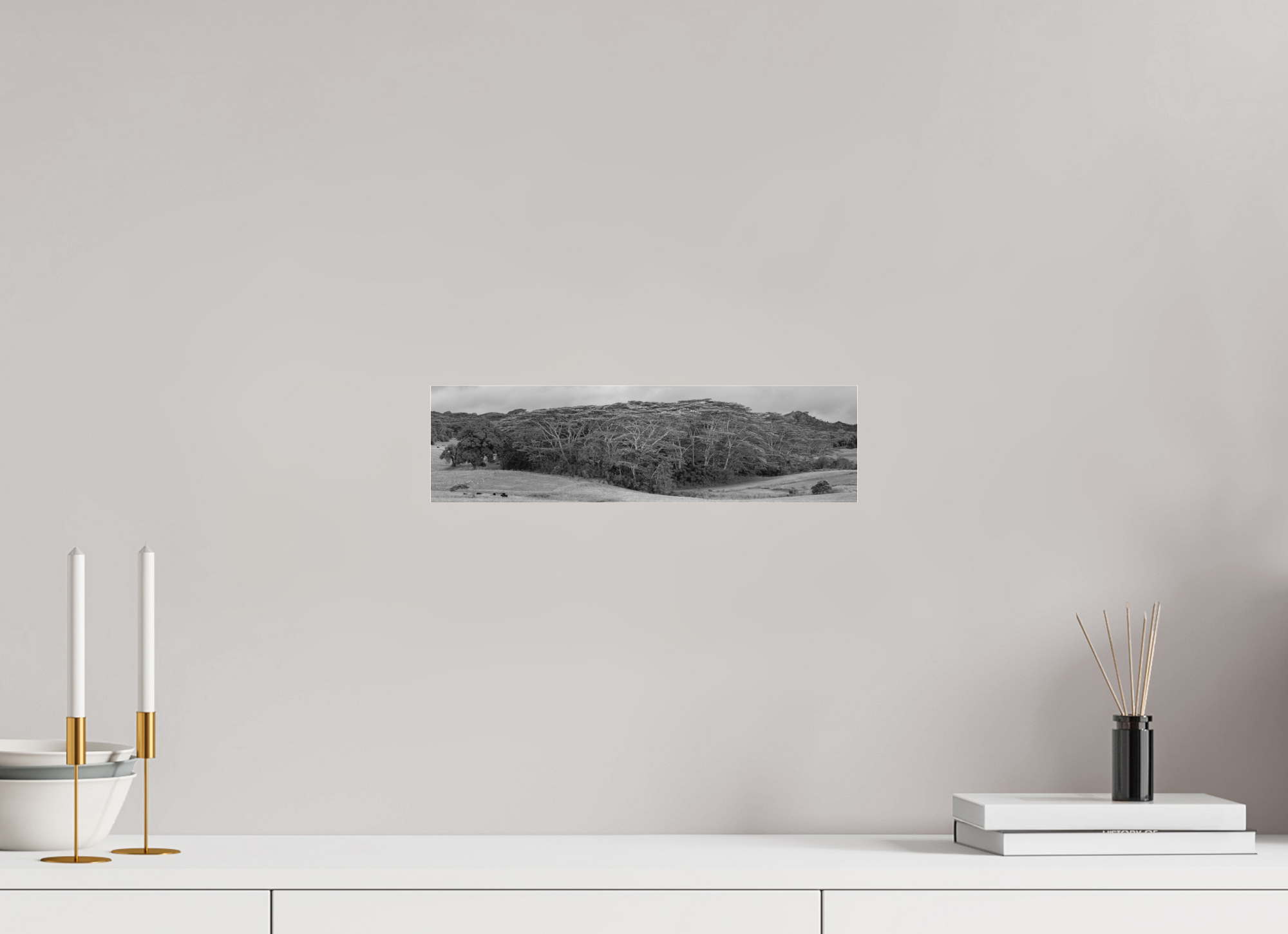 14.6 x 4″, Borderless Modern Frame - Ilford Black & White under Matte Acrylic Glass Kauaʻian Copse of Trees