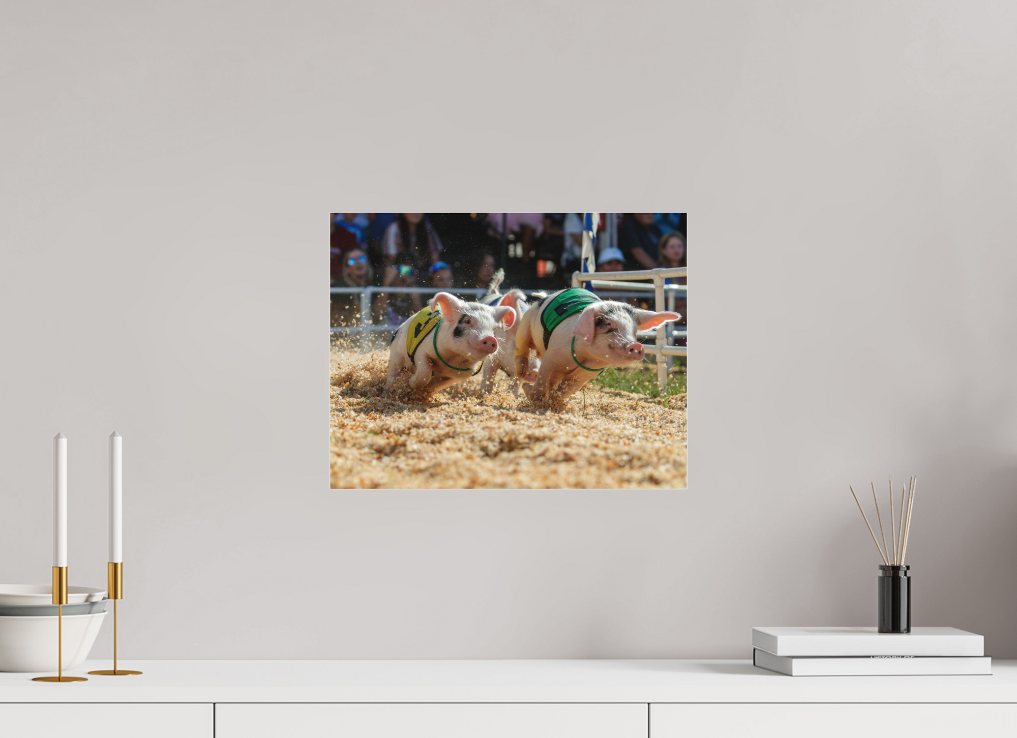 15.5 x 12″, Borderless Modern Frame - Fuji Crystal Paper under Matte Acrylic Glass When Pigs Fly