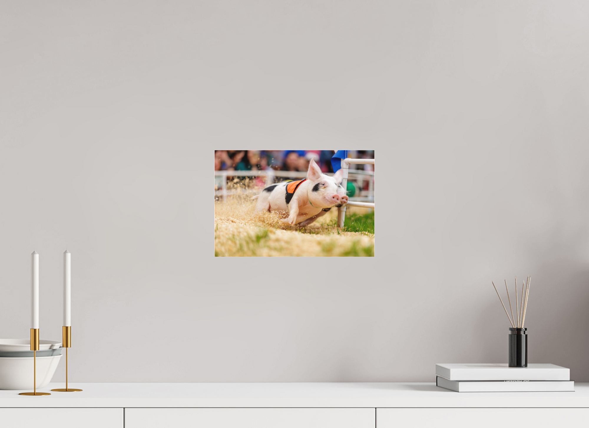 12 x 8″, Borderless Modern Frame - Fuji Crystal Paper under Matte Acrylic Glass Kickin' up Dust