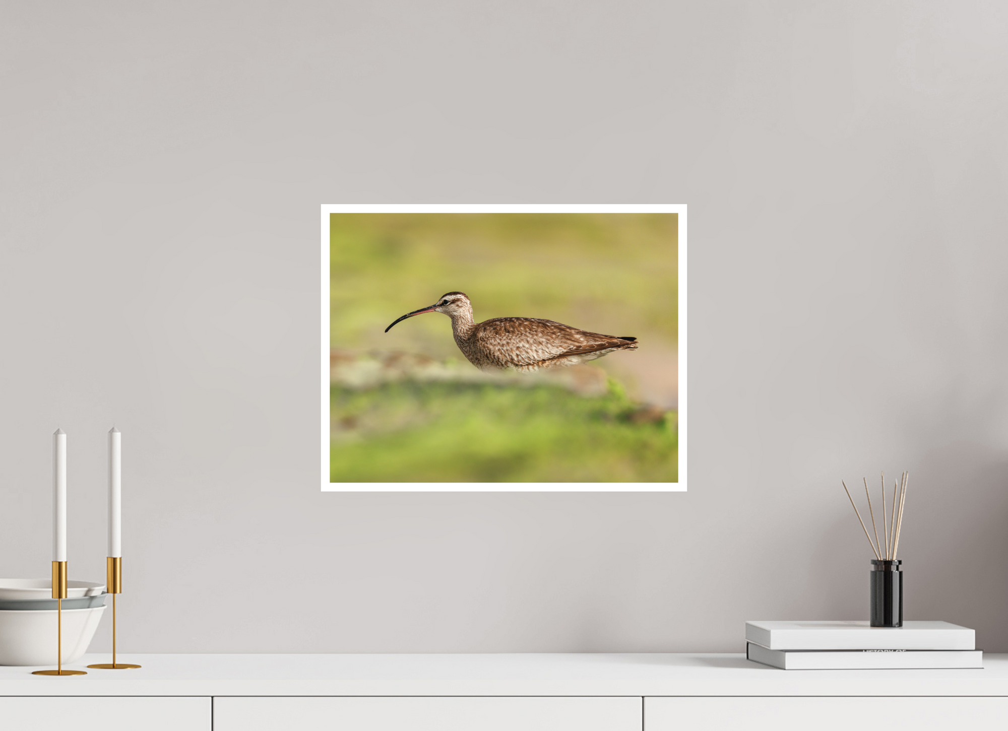 15.5 x 12″, Unframed Photograph - Hahnemühle Bamboo Paper Whimbrel on Beach