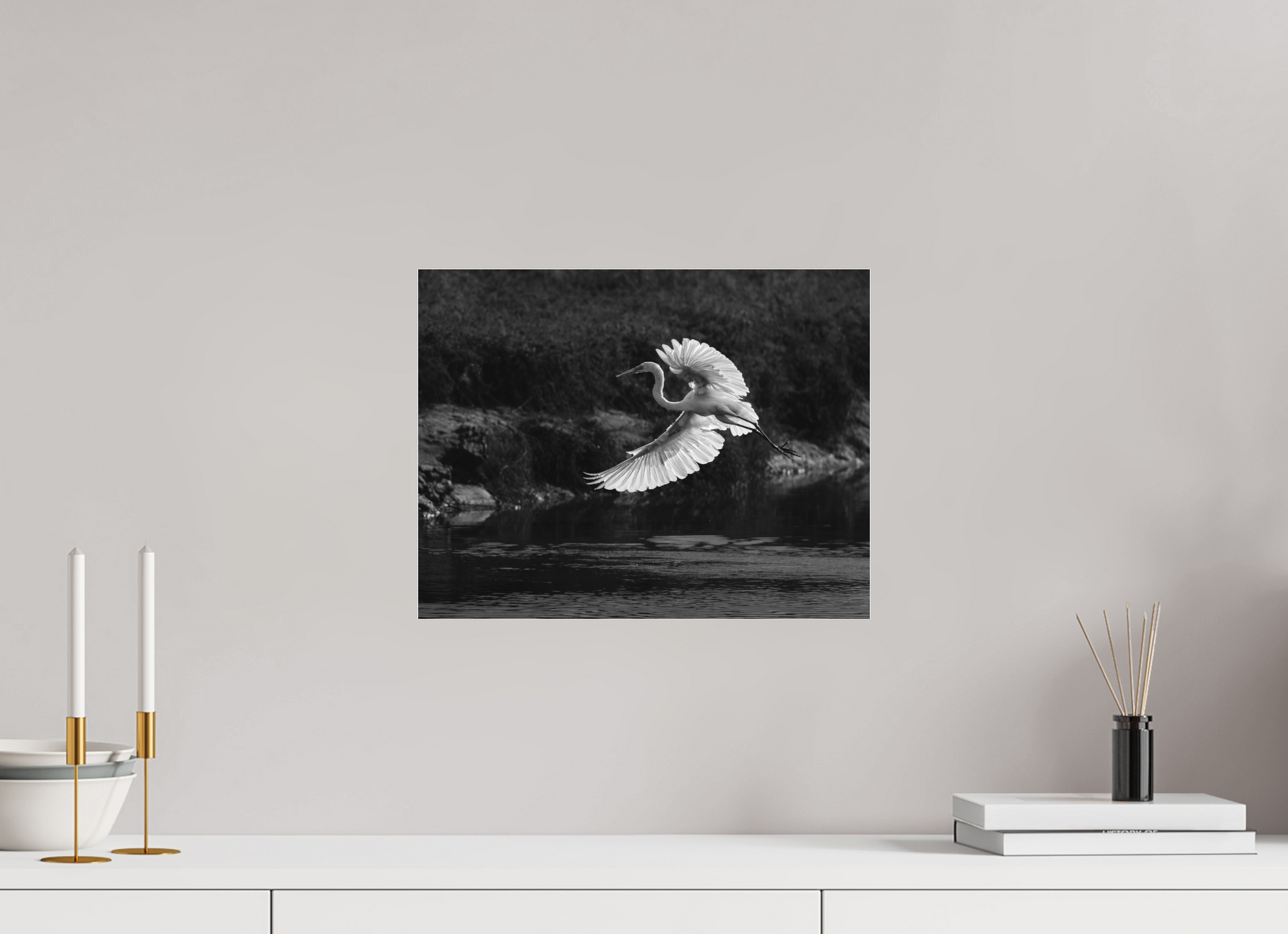 15.5 x 12″, Borderless Modern Frame - Ilford Black & White under Matte Acrylic Glass Backlit Great Egret