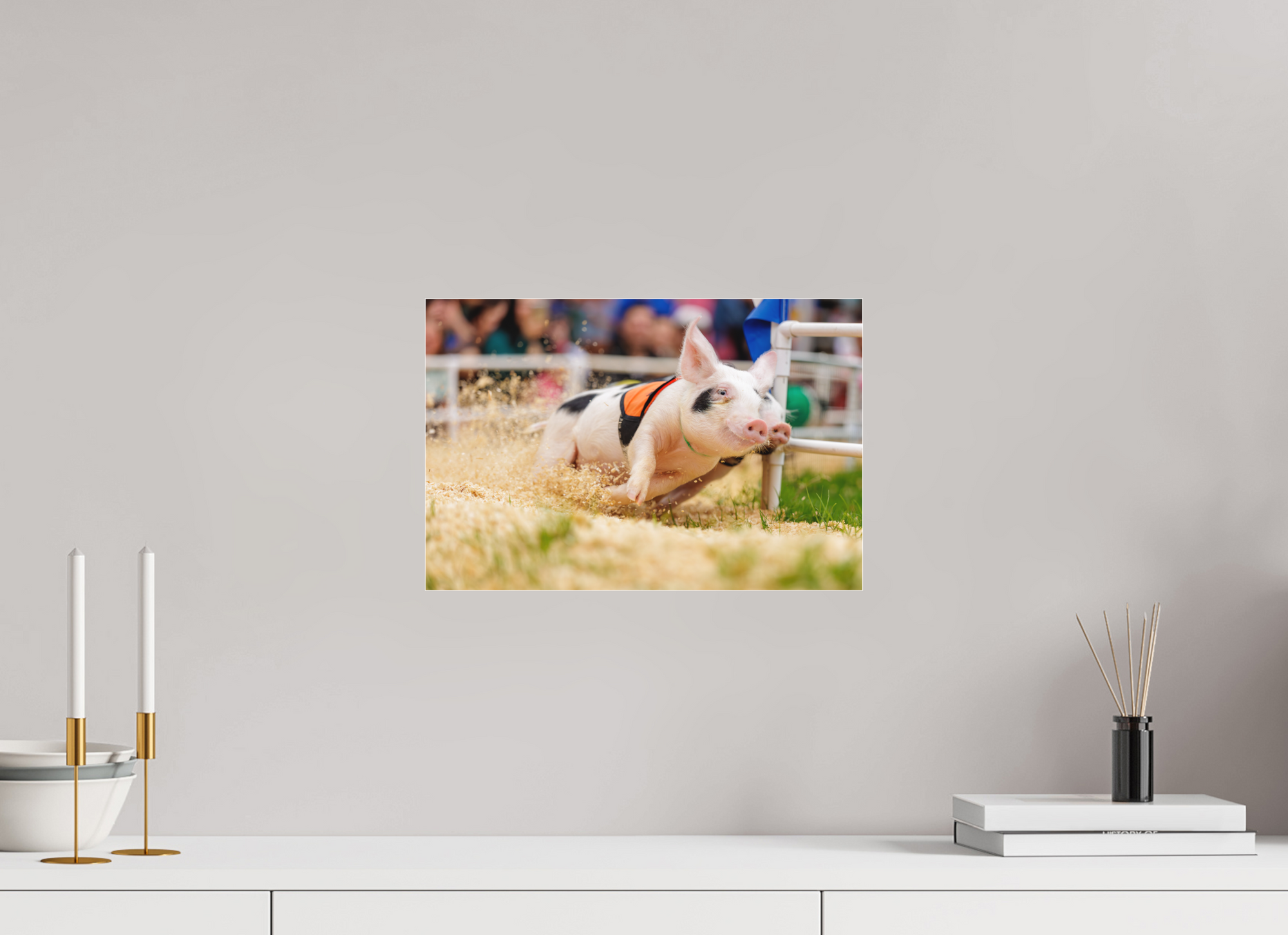 15 x 10″, Borderless Modern Frame - Fuji Crystal Paper under Matte Acrylic Glass Kickin' up Dust