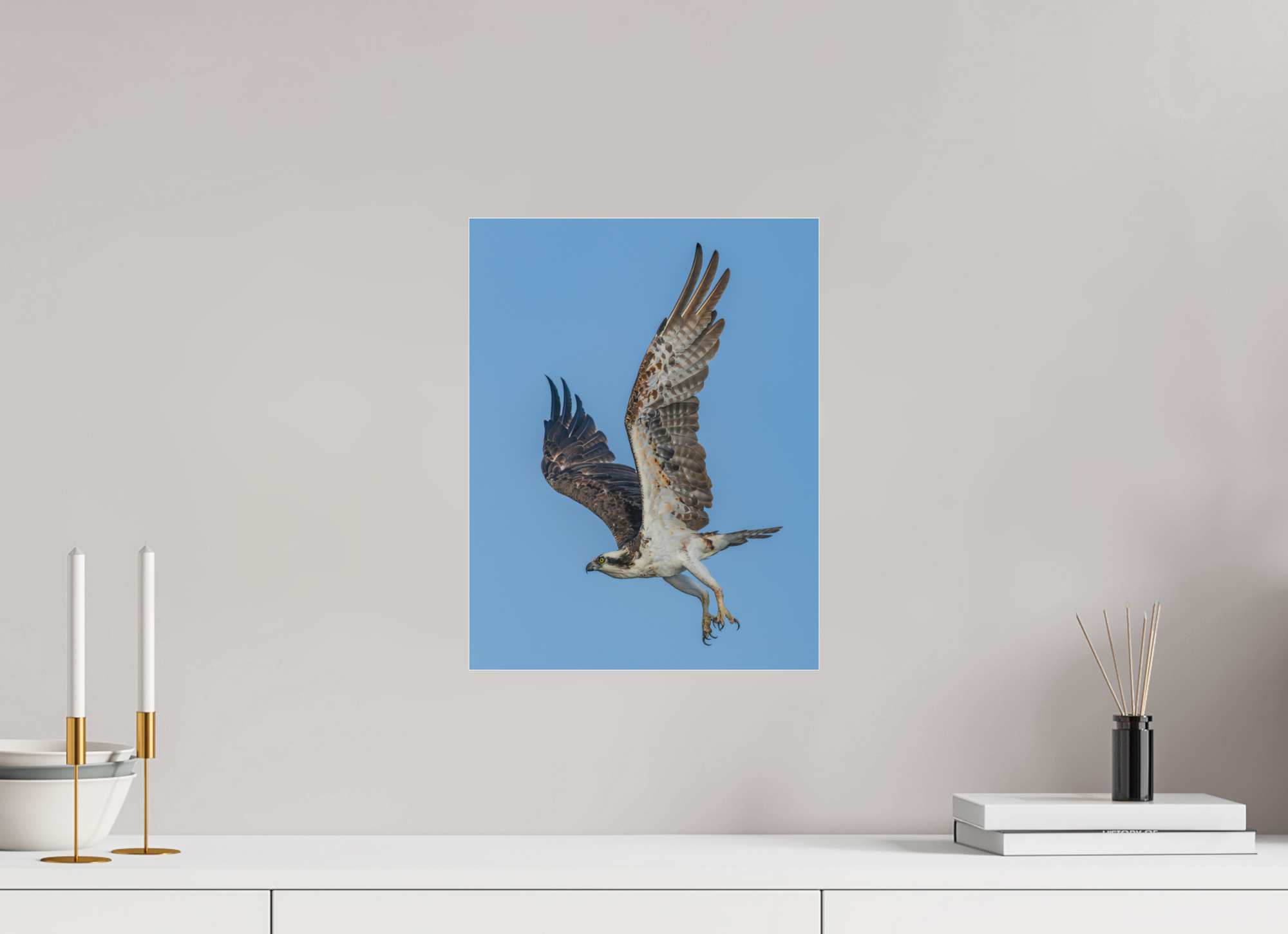 12 x 15.5″, Borderless Modern Frame - Fuji Crystal Paper under Matte Acrylic Glass Dual Catching Claws