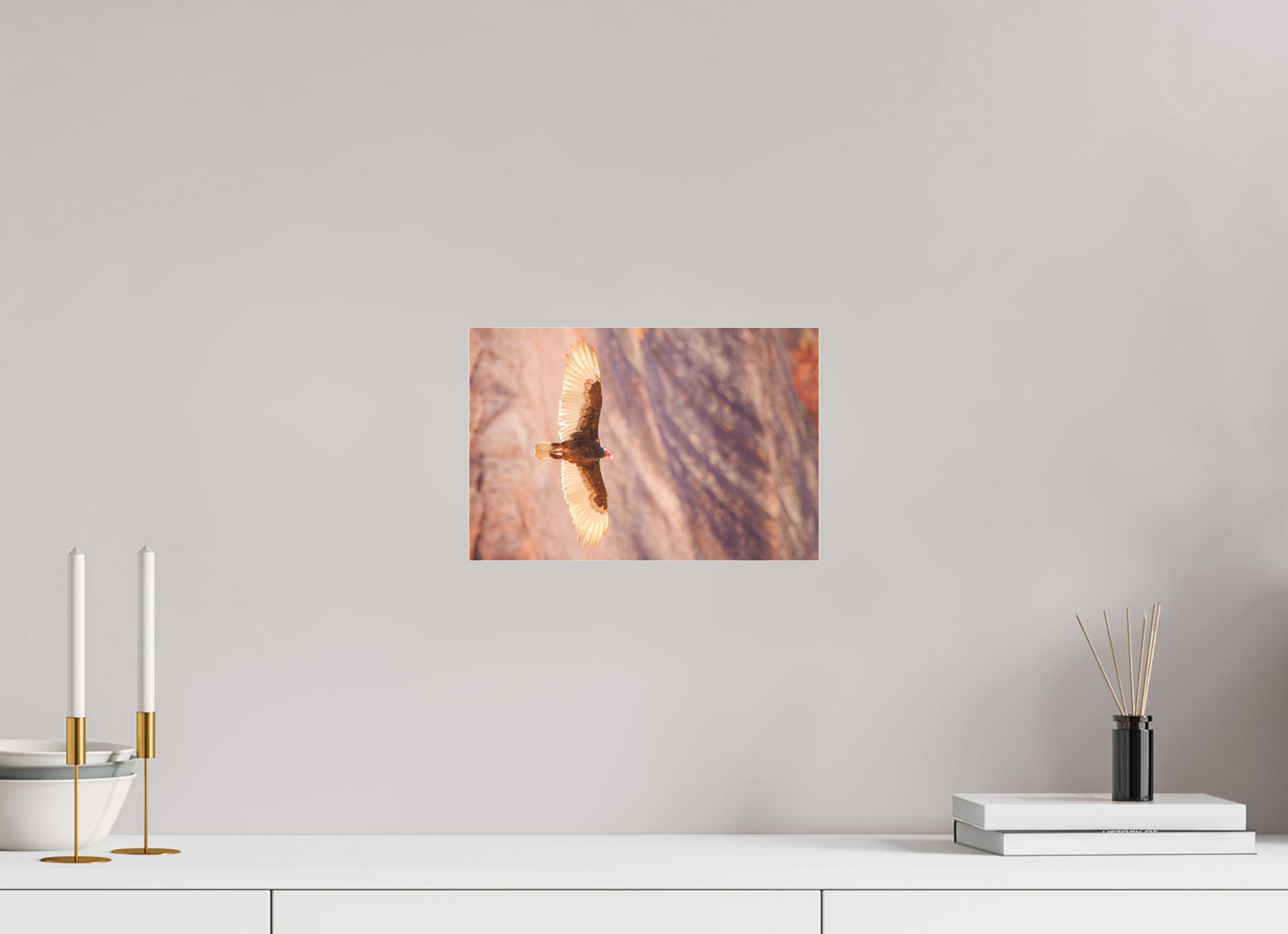 12 x 8″, Borderless Modern Frame - Fuji Crystal Paper under Matte Acrylic Glass Soarin'