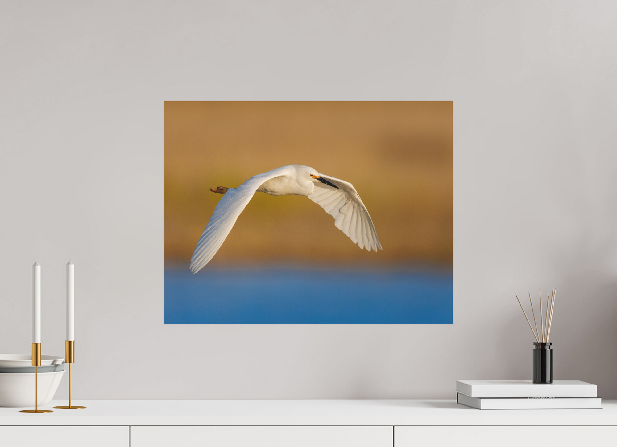 20.7 x 16″, Borderless Modern Frame - Fuji Crystal Paper under Matte Acrylic Glass Egret into Sunset
