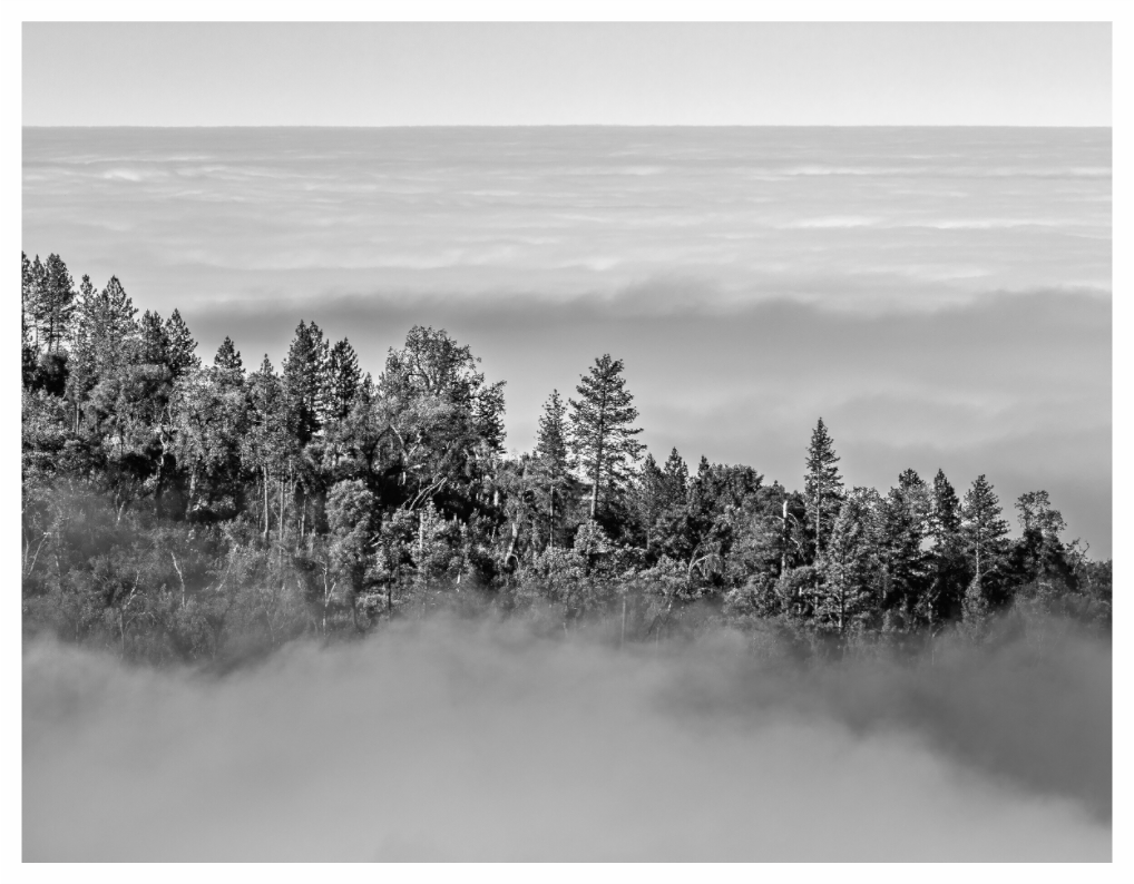 Main image Dip Into Sea of Clouds