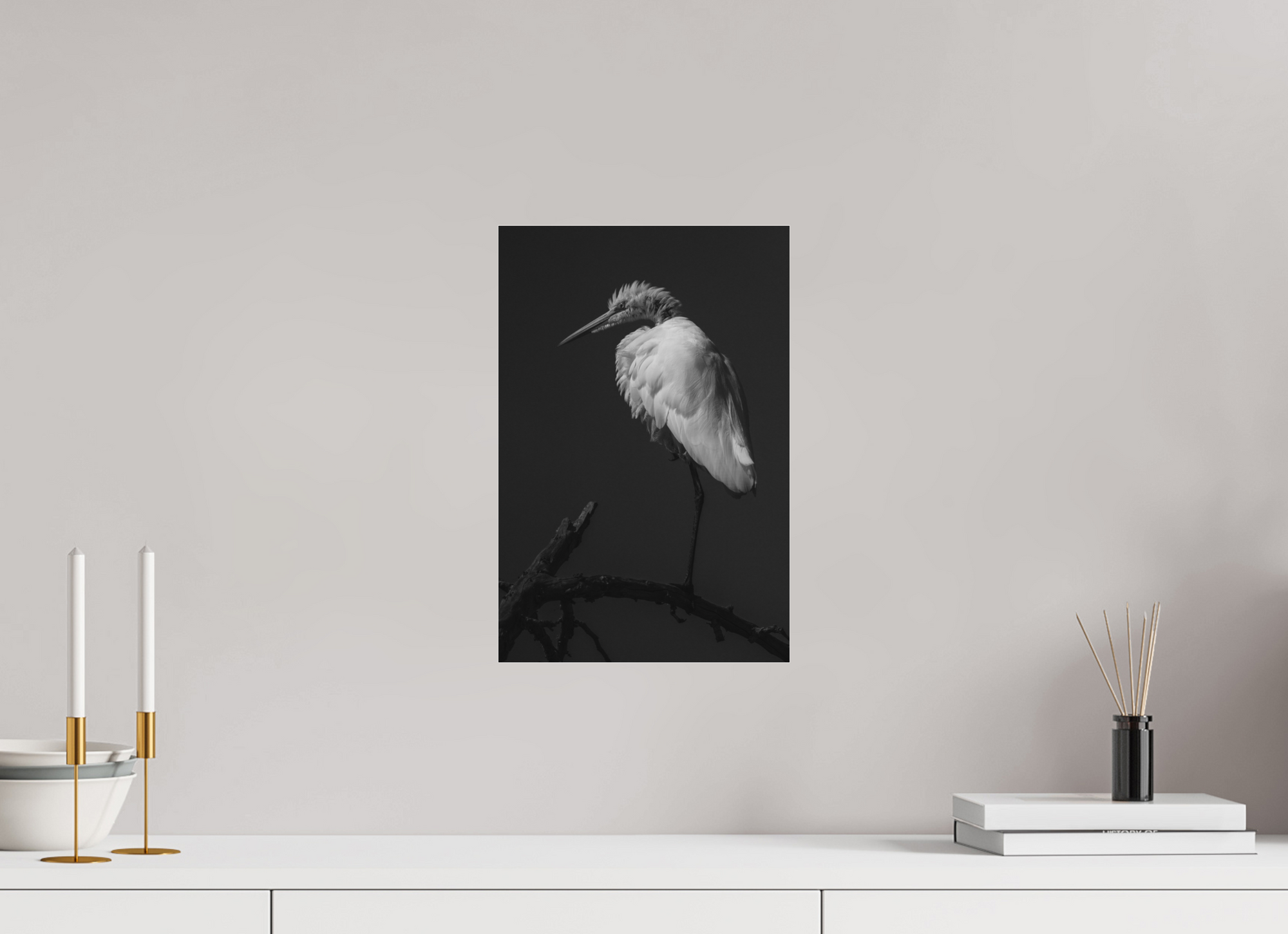 10 x 15″, Borderless Modern Frame - Ilford Black & White under Matte Acrylic Glass Egret on a Stick