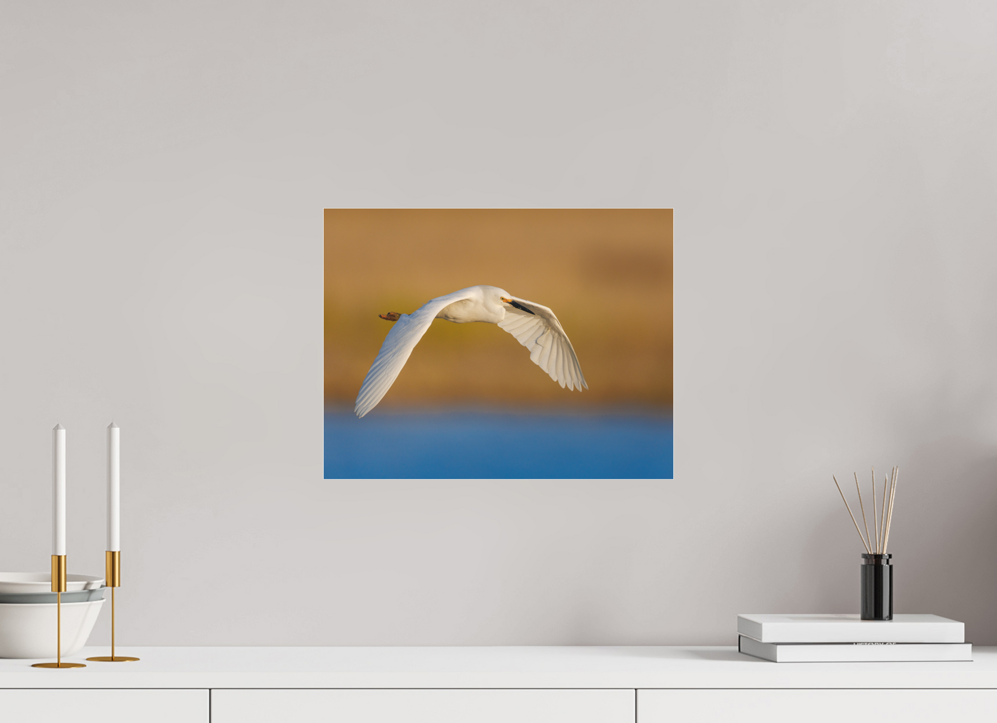 15.5 x 12″, Borderless Modern Frame - Fuji Crystal Paper under Matte Acrylic Glass Egret into Sunset