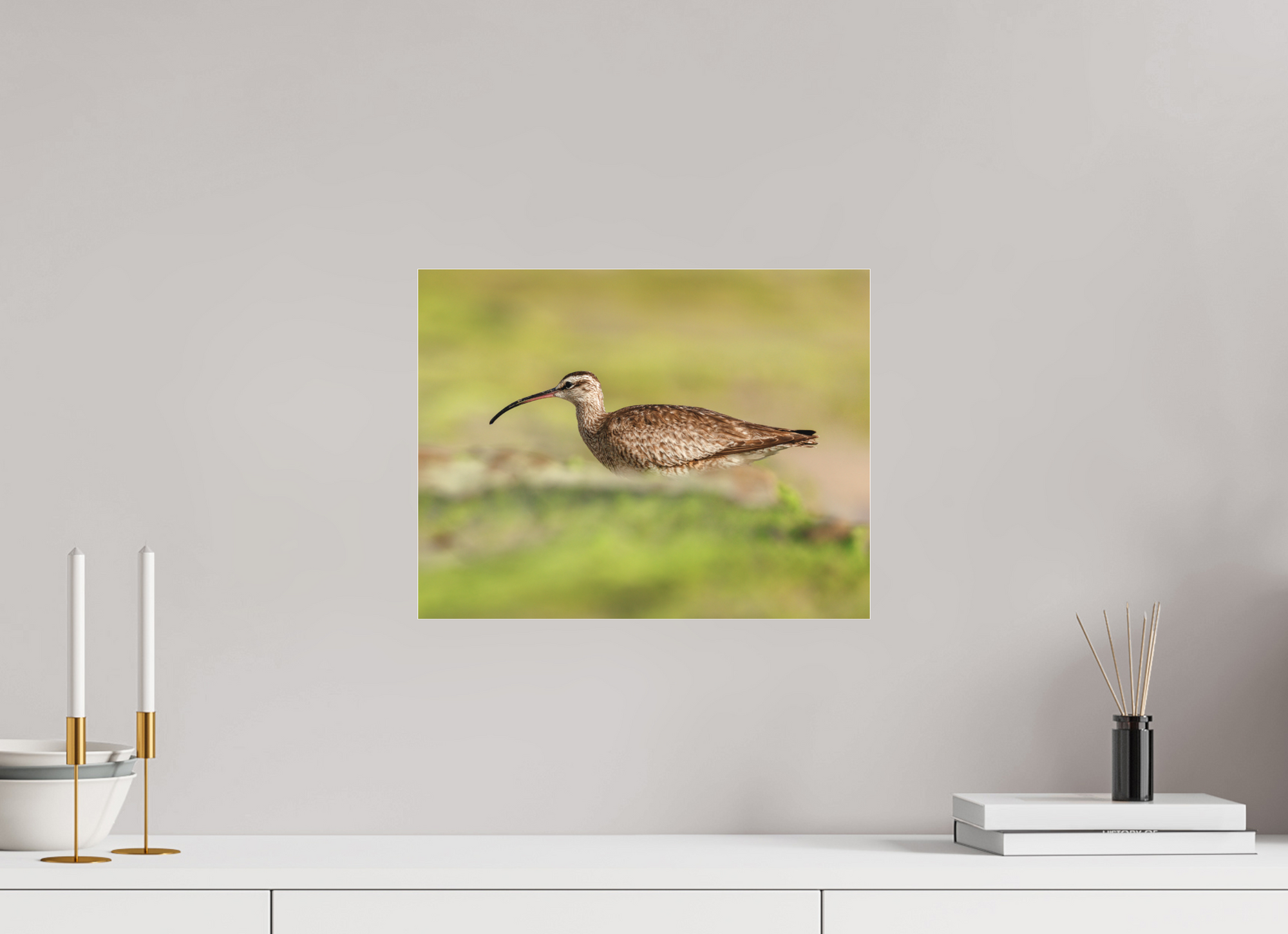 15.5 x 12″, Borderless Modern Frame - Fuji Crystal Paper under Matte Acrylic Glass Whimbrel on Beach