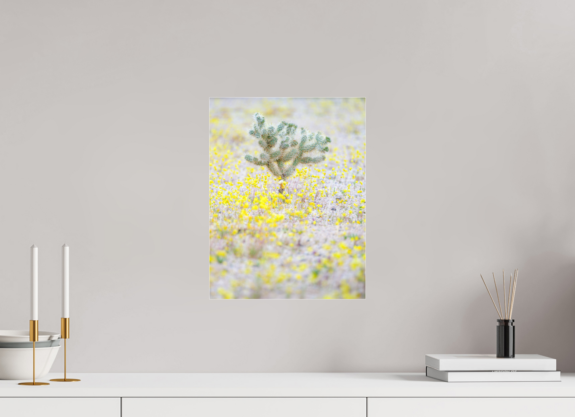 12 x 15.5″, Borderless Modern Frame - Fuji Crystal Paper under Matte Acrylic Glass Cholla & Pepperoncinis