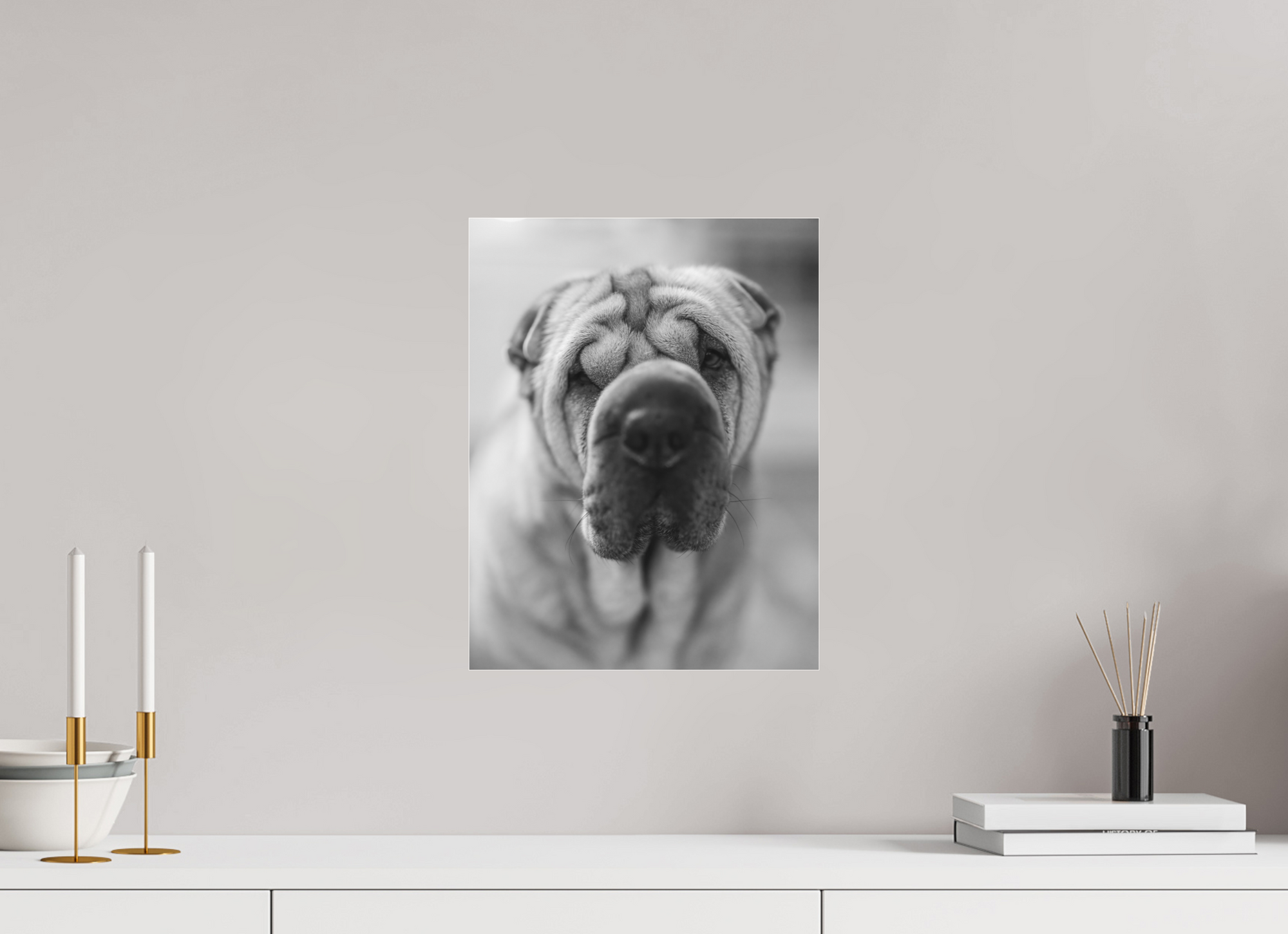 12 x 15.5″, Borderless Modern Frame - Ilford Black & White under Matte Acrylic Glass Shar Pei or Blurray?
