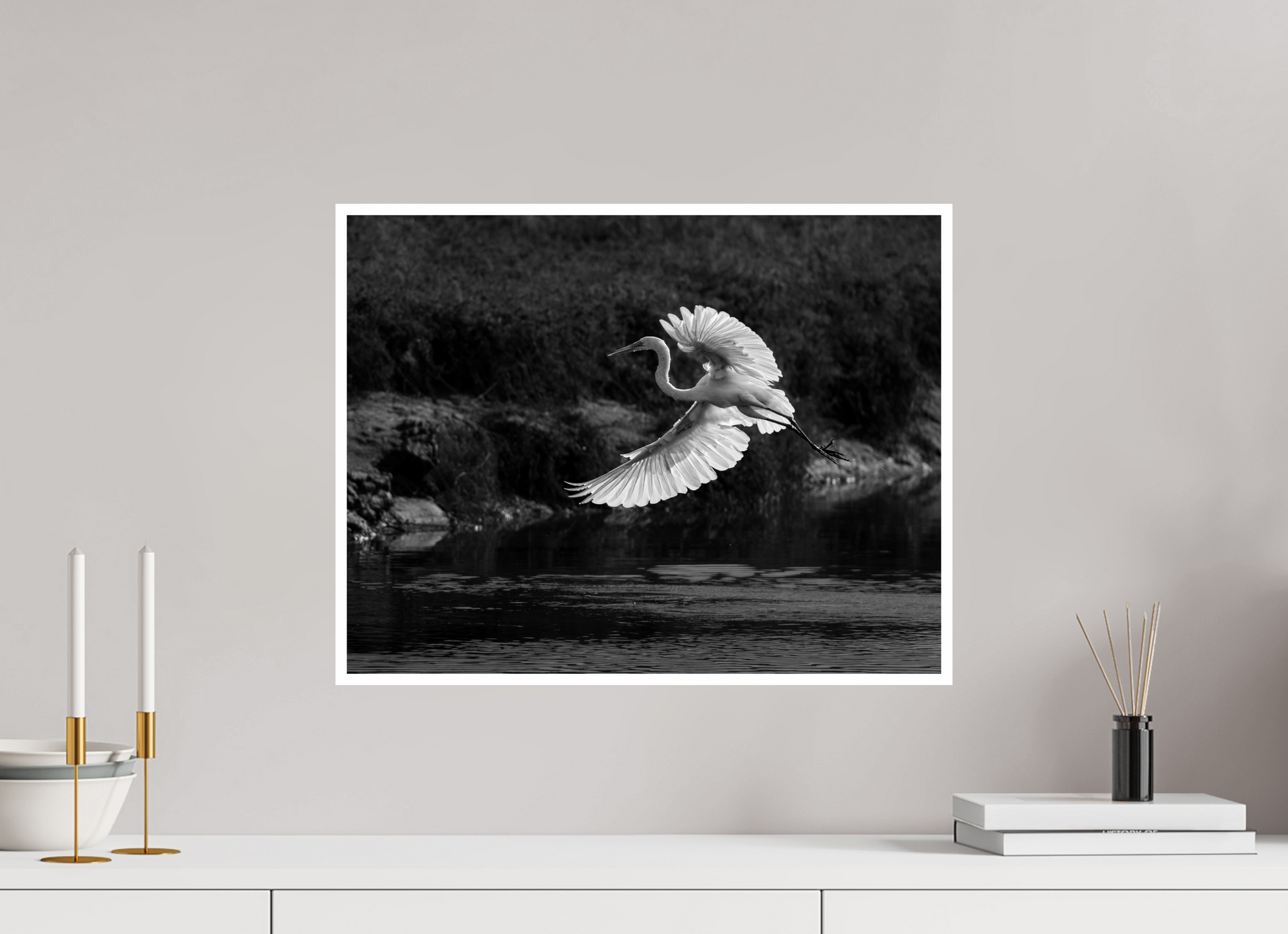 20.7 x 16″, Unframed Photograph - Canson Baryta Prestige Black & White Backlit Great Egret
