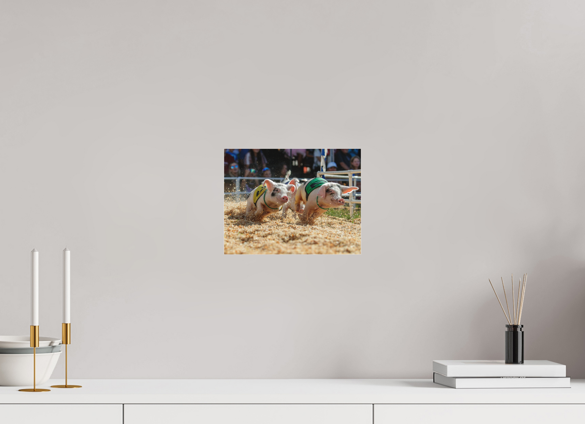 10.4 x 8″, Borderless Modern Frame - Fuji Crystal Paper under Matte Acrylic Glass When Pigs Fly