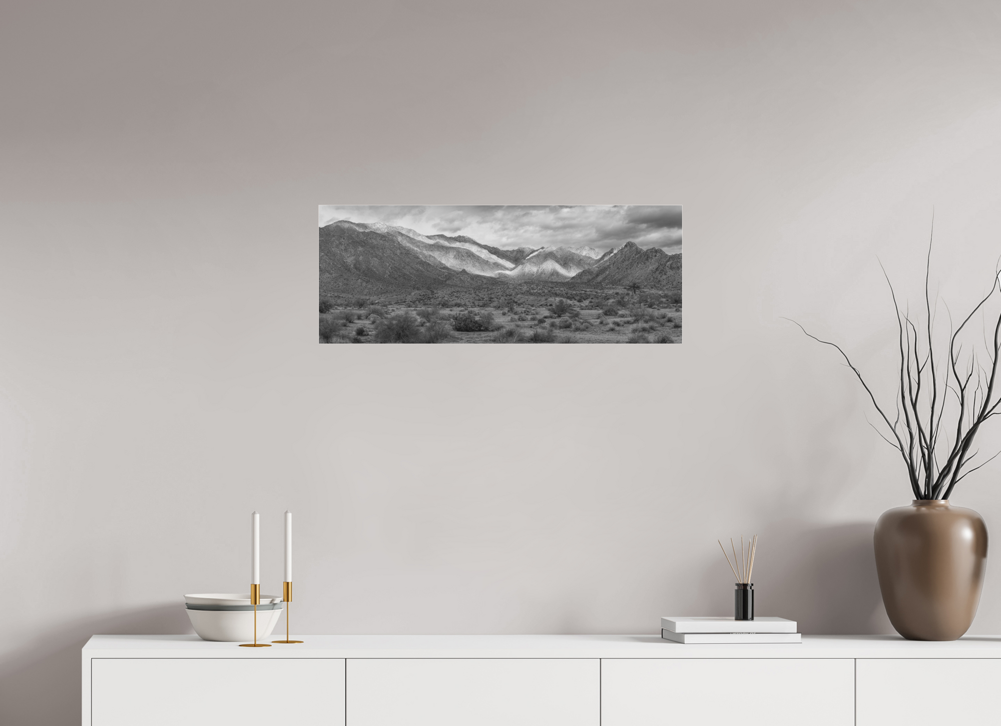 31.5 x 12″, Borderless Modern Frame - Ilford Black & White under Matte Acrylic Glass Rare Rain at Joshua Tree