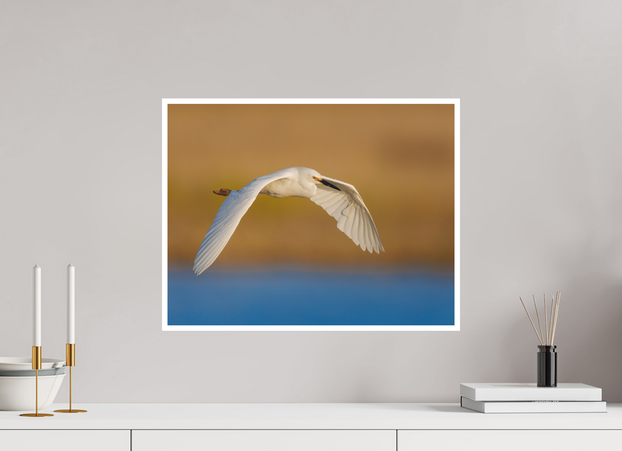 20.7 x 16″, Unframed Photograph - Hahnemühle Photo Rag Art Paper Egret into Sunset