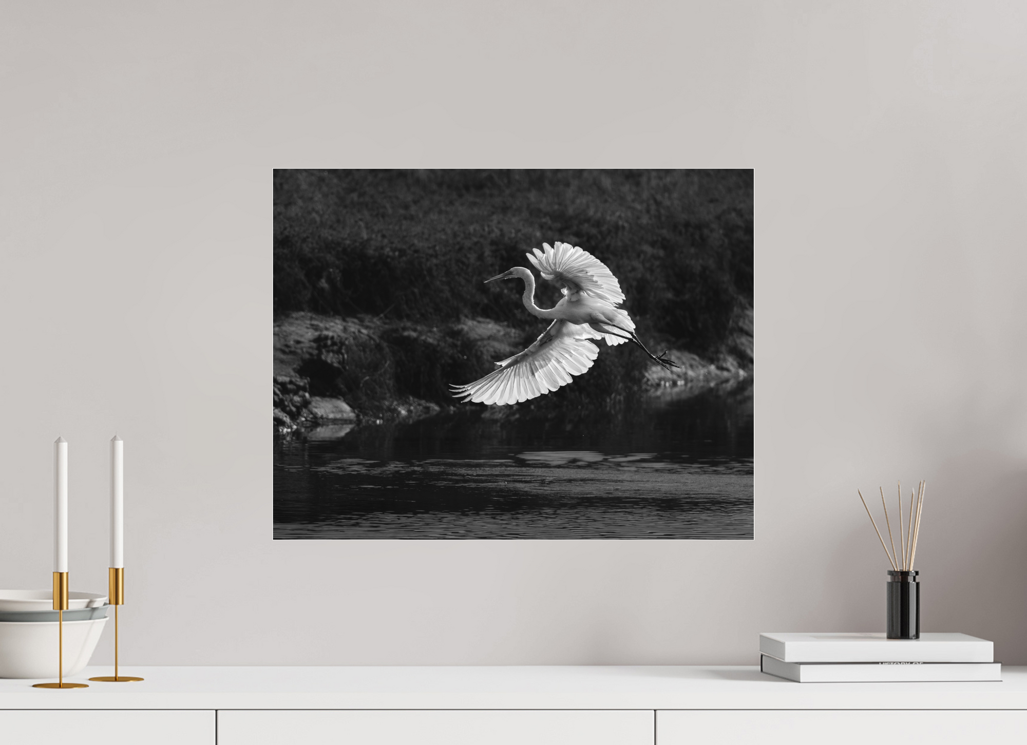 20.7 x 16″, Borderless Modern Frame - Ilford Black & White under Matte Acrylic Glass Backlit Great Egret