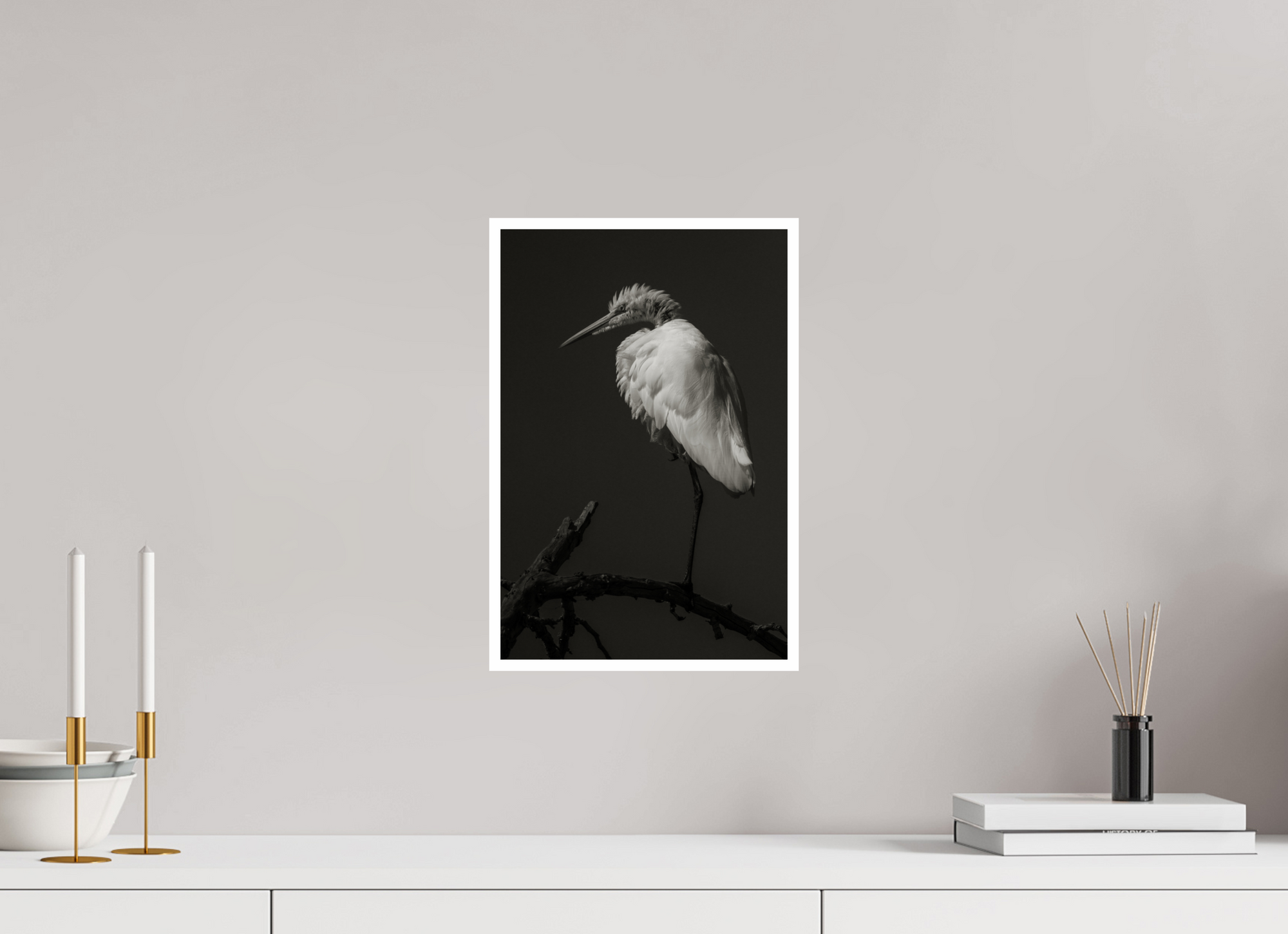 10 x 15″, Unframed Photograph - Canson Baryta Prestige Black & White Egret on a Stick