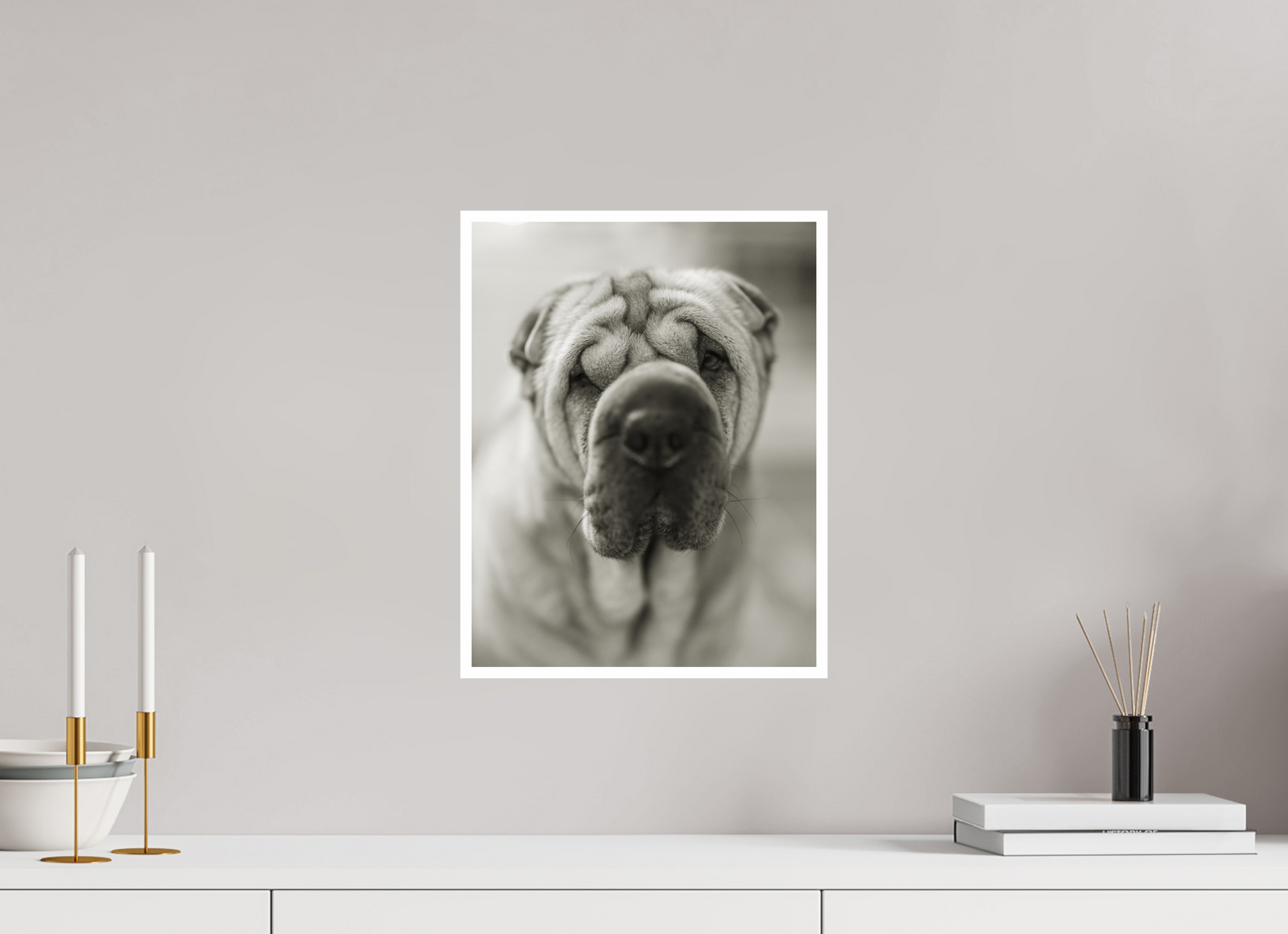 12 x 15.5″, Unframed Photograph - Canson Baryta Prestige Black & White Shar Pei or Blurray?