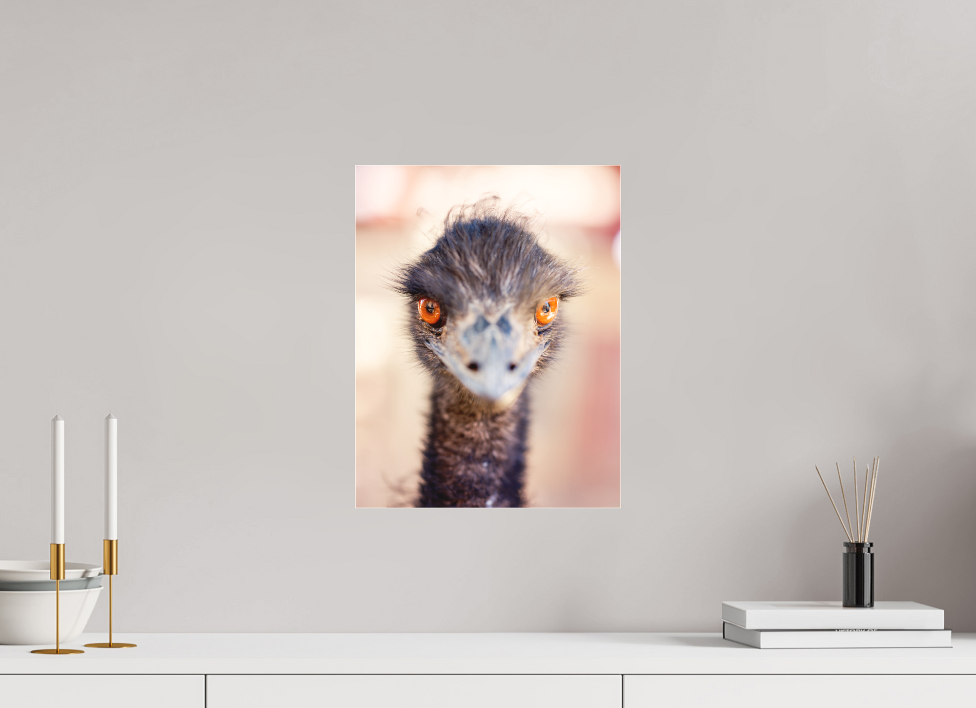 12 x 15.5″, Borderless Modern Frame - Fuji Crystal Paper under Matte Acrylic Glass Emu See You