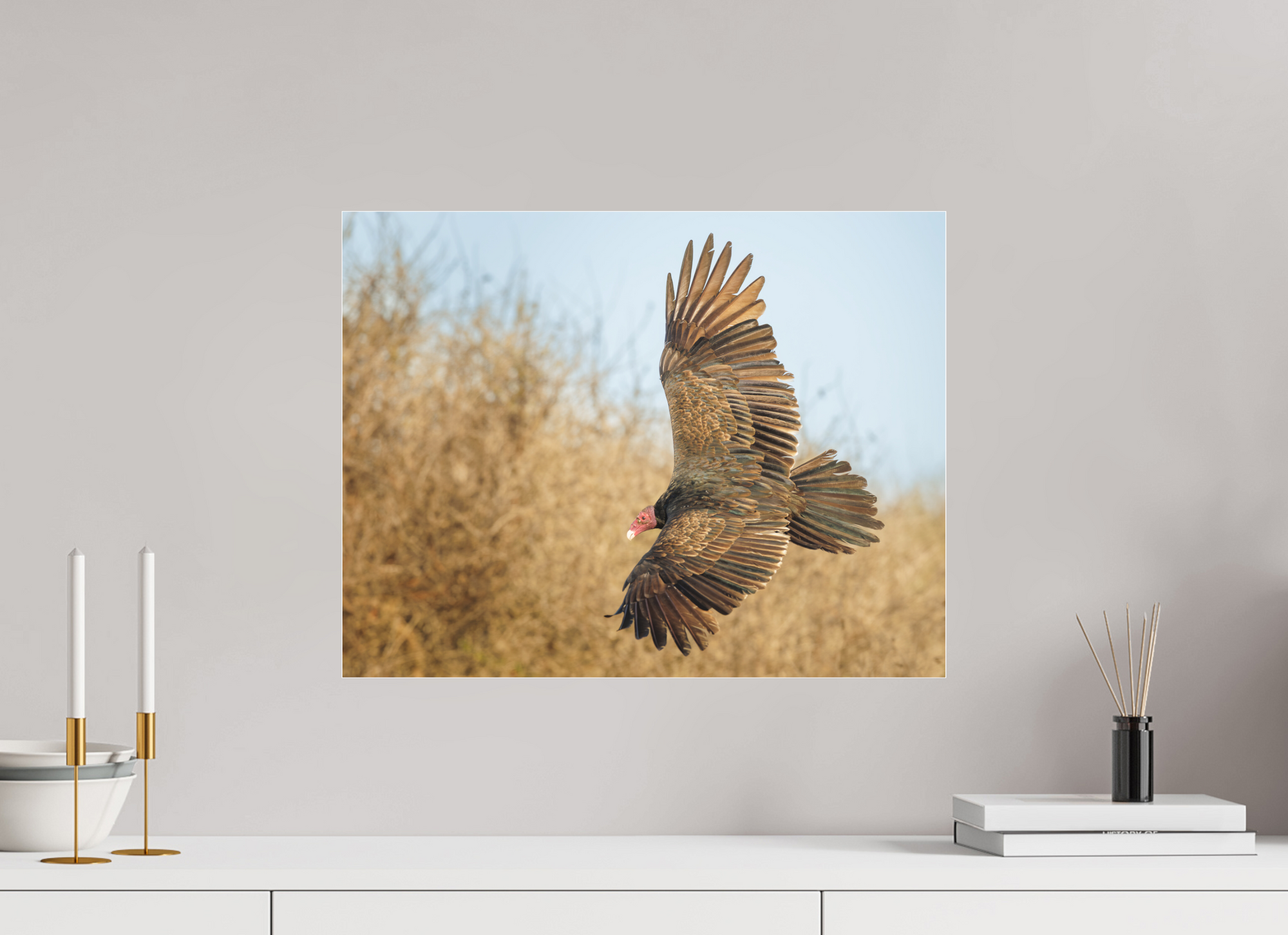 20.7 x 16″, Borderless Modern Frame - Fuji Crystal Paper under Matte Acrylic Glass Cleanup Crew