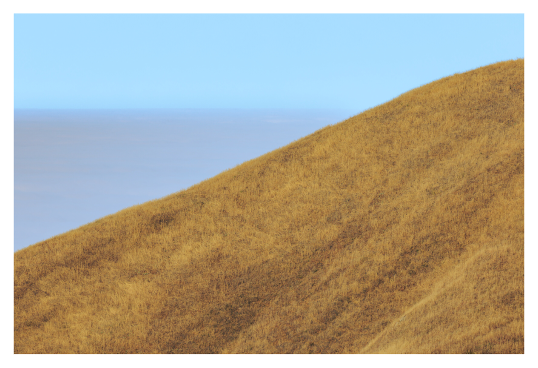 Main image Blue Gold Coast