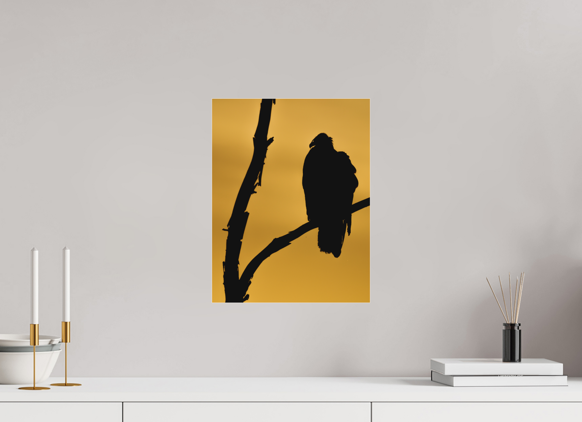 12 x 15.5″, Borderless Modern Frame - Fuji Crystal Paper under Matte Acrylic Glass V is for Vulture