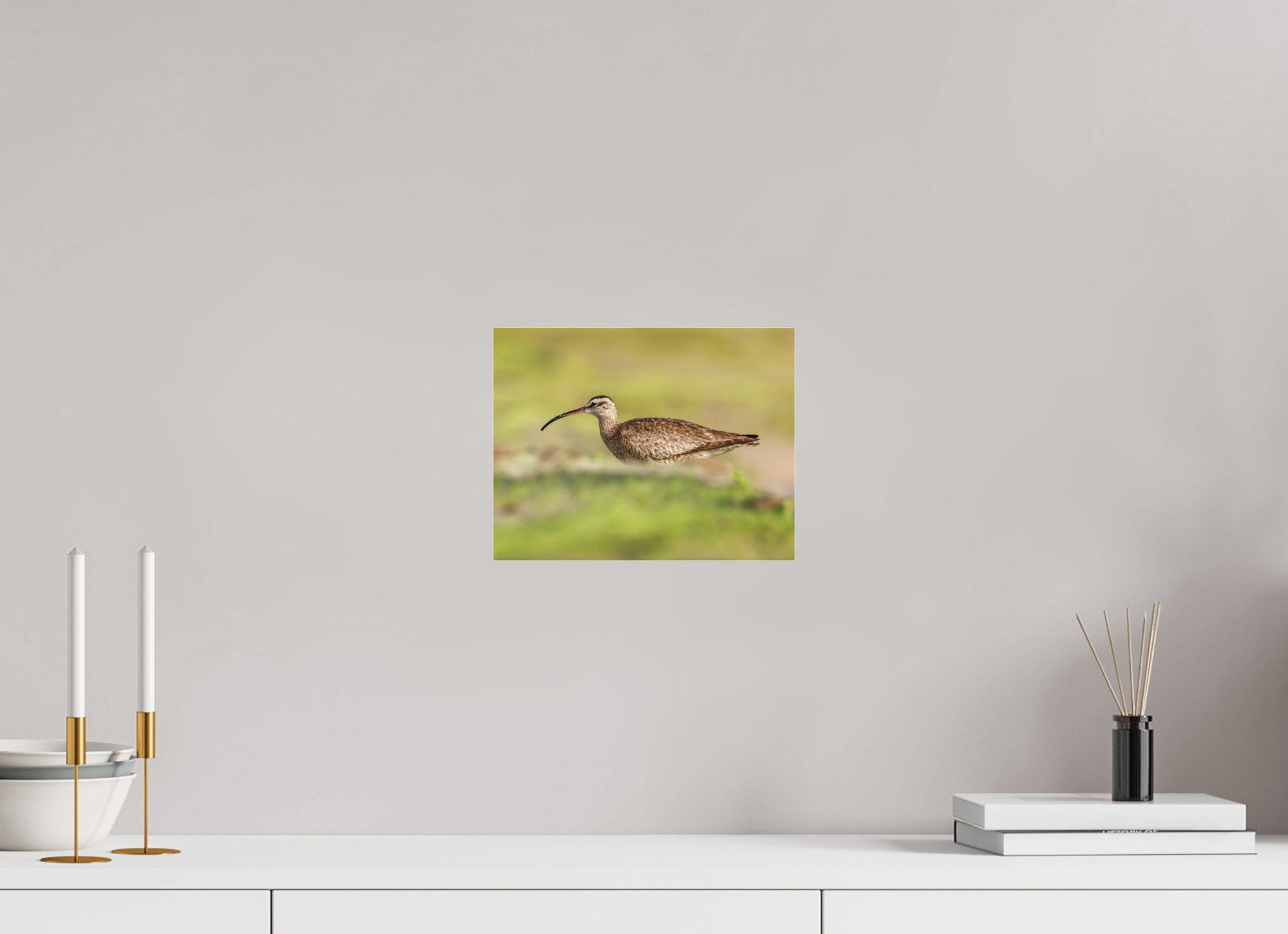 10.4 x 8″, Borderless Modern Frame - Fuji Crystal Paper under Matte Acrylic Glass Whimbrel on Beach