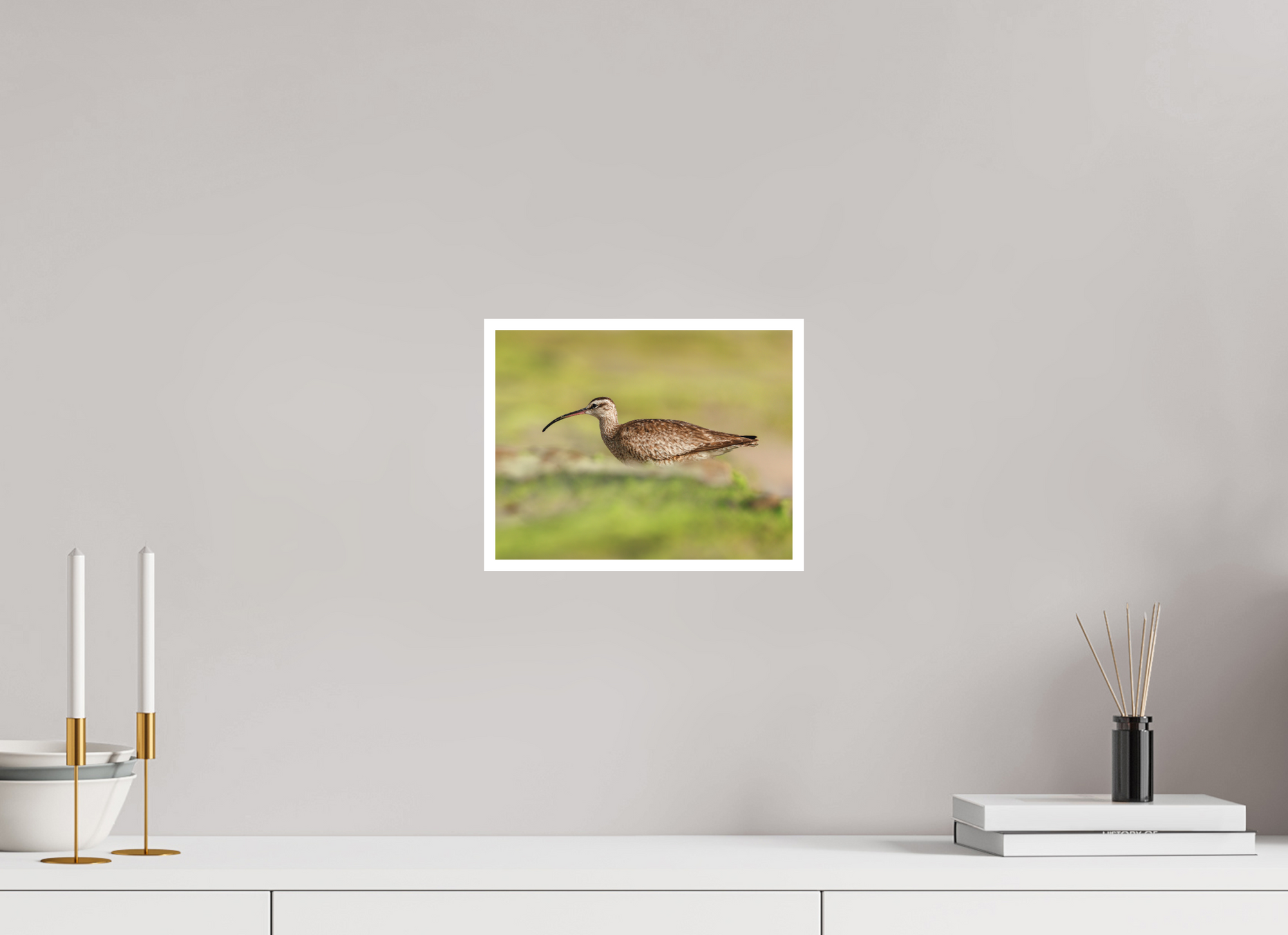 10.4 x 8″, Unframed Photograph - Hahnemühle Bamboo Paper Whimbrel on Beach