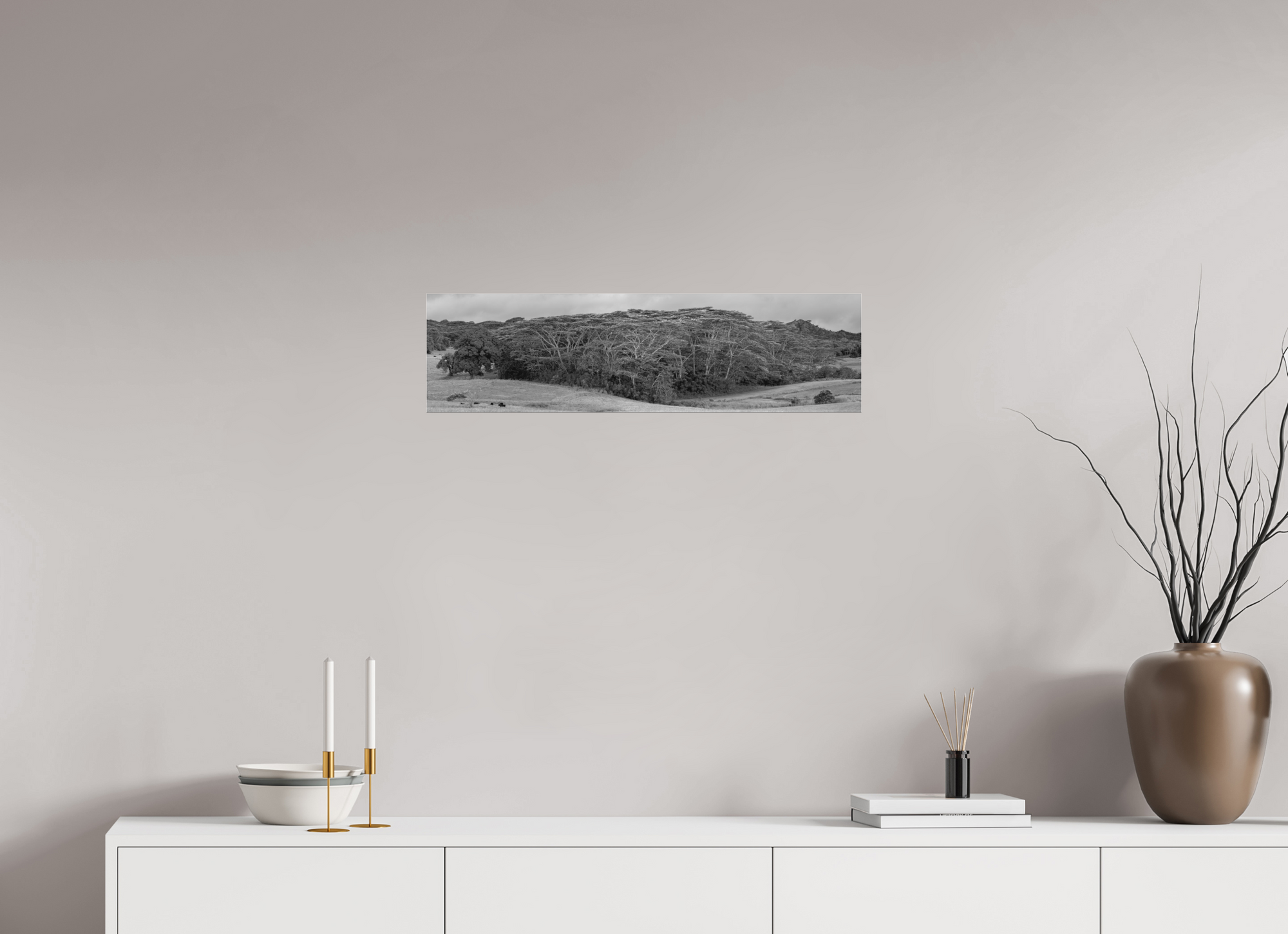 29.3 x 8″, Borderless Modern Frame - Ilford Black & White under Matte Acrylic Glass Kauaʻian Copse of Trees