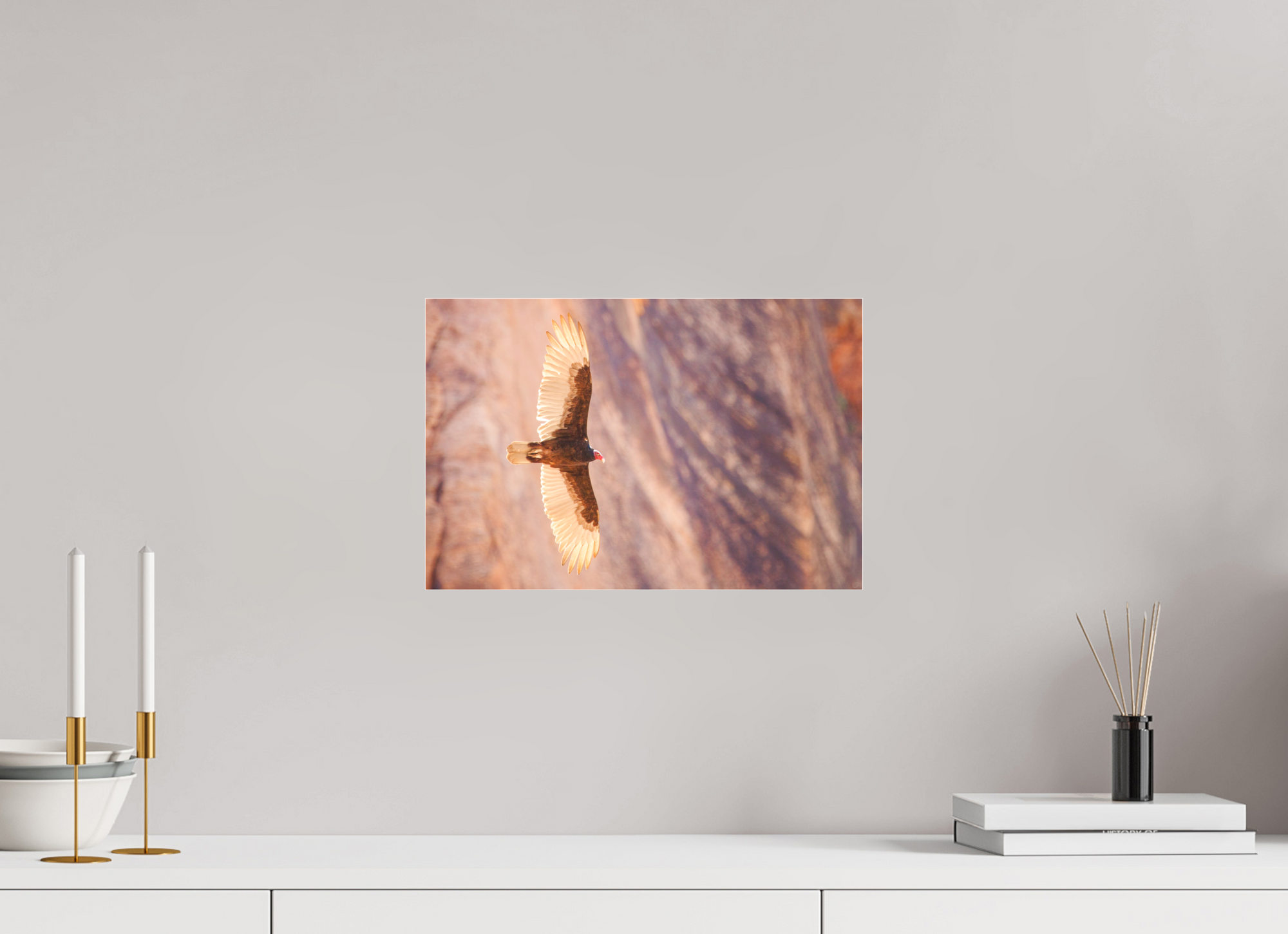 15 x 10″, Borderless Modern Frame - Fuji Crystal Paper under Matte Acrylic Glass Soarin'